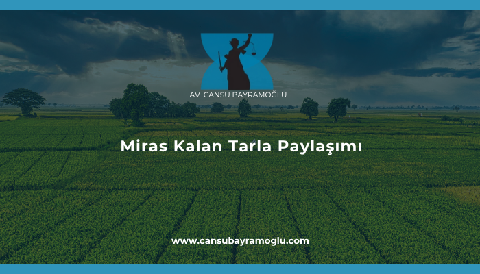 Miras Kalan Tarla Paylaşımı