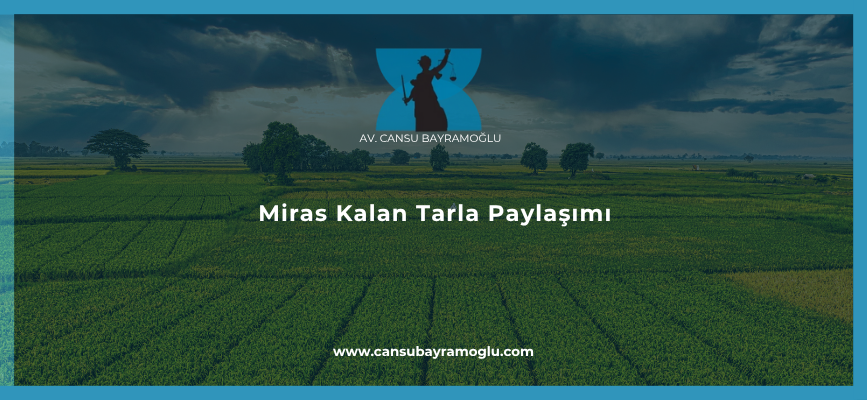 Miras Kalan Tarla Paylaşımı