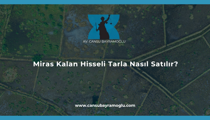 Miras Kalan Hisseli Tarla Nasıl Satılır?