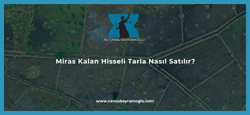 Miras Kalan Hisseli Tarla Nasıl Satılır?