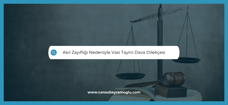 Akıl Zayıflığı Nedeniyle Vasi Tayini Dava Dilekçesi