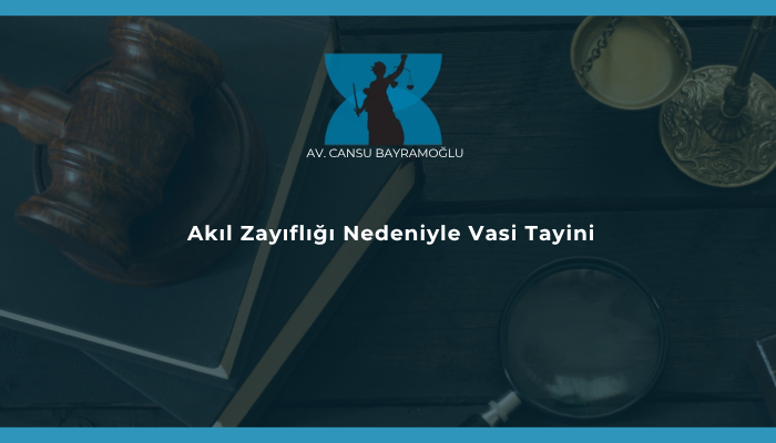 Akıl Zayıflığı Nedeniyle Vasi Tayini