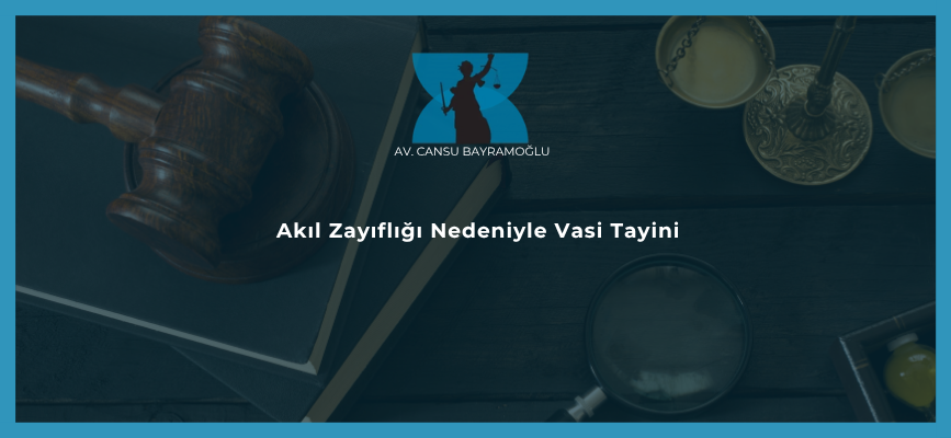 Akıl Zayıflığı Nedeniyle Vasi Tayini